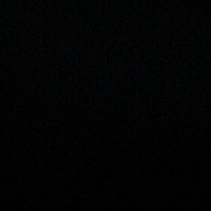 Meet your Posher, Carter